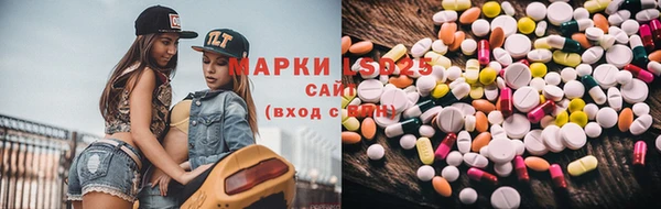 ГАЛЛЮЦИНОГЕННЫЕ ГРИБЫ Балахна