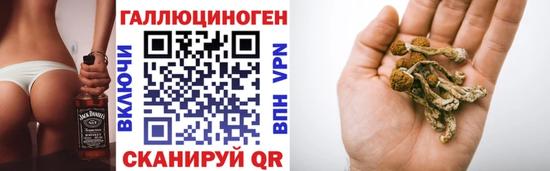 Купить закладки  Аркадак  Псилоцибиновые грибы прущие грибы 